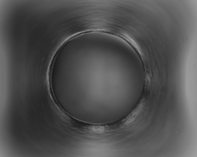 X0000090471291200707131251