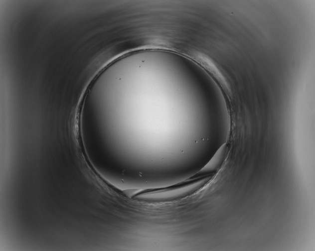 X0000090471292200707131251