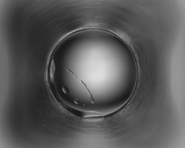 X0000090471296200707131251