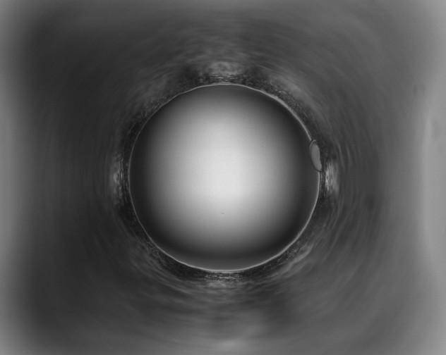 X0000090471299200707131250