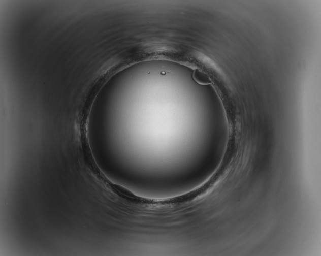 X0000090471305200707131250