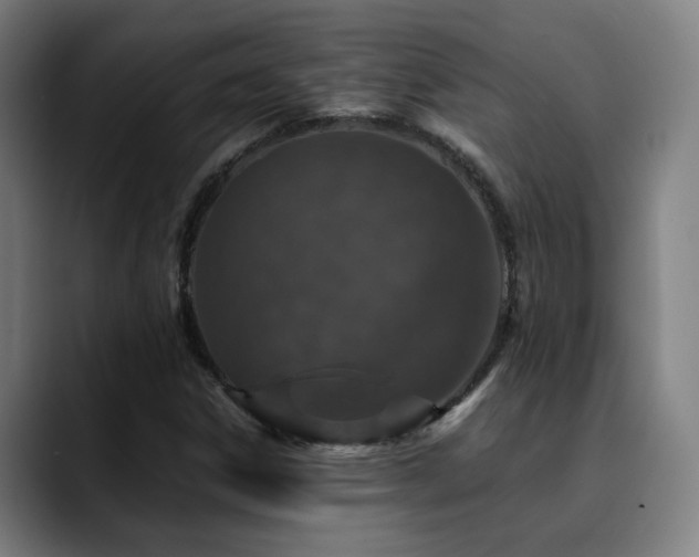 X0000090471306200707131250
