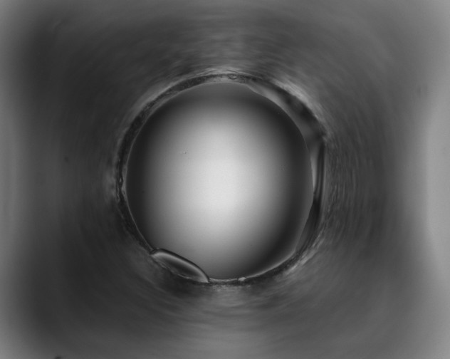 X0000090471308200707131250