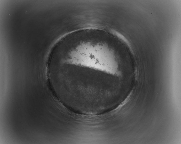 X0000090471310200707131250