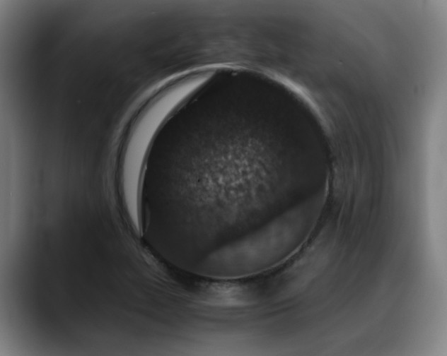X0000090471319200707131251