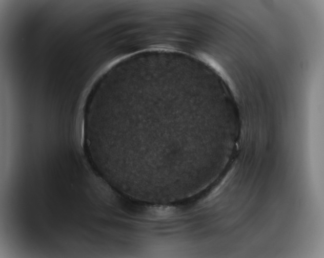 X0000090471323200707131251