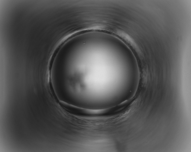 X0000090471324200707131251