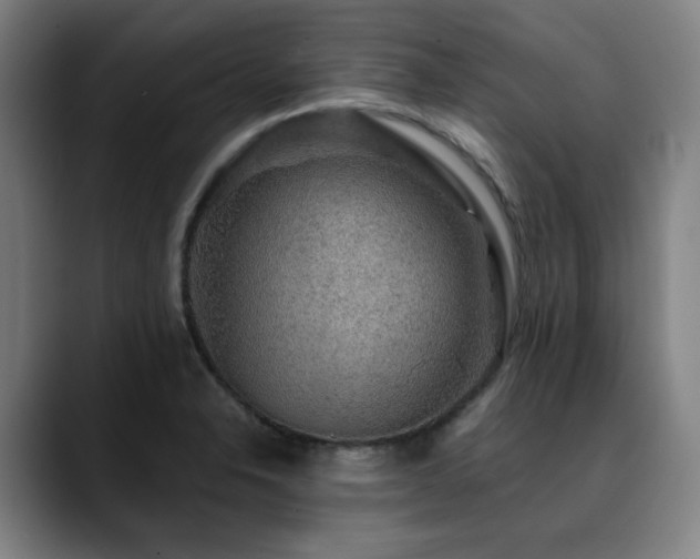 X0000090471326200707131251