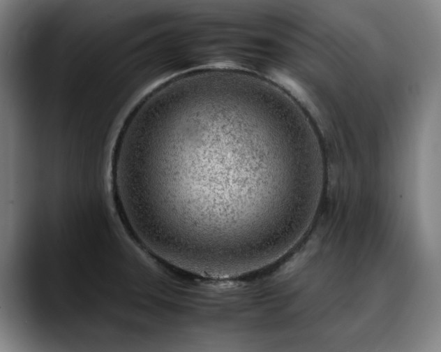 X0000090471331200707131251