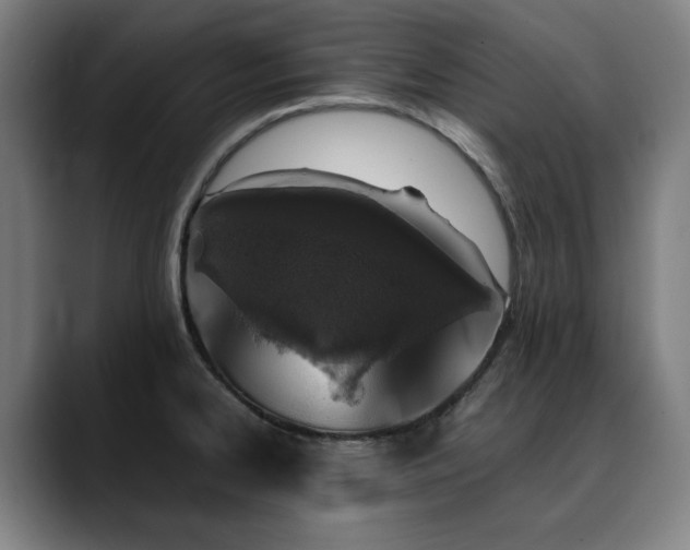 X0000090471334200707131251