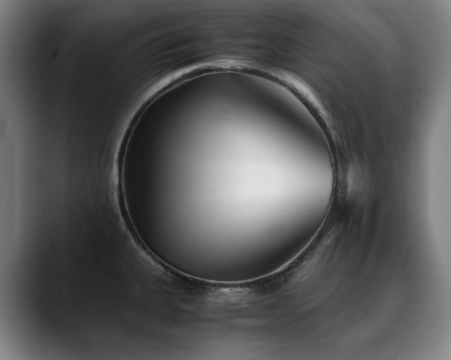X0000090471335200707131251