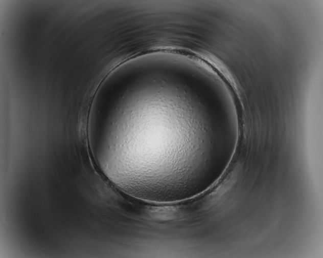 X0000090471337200707131251