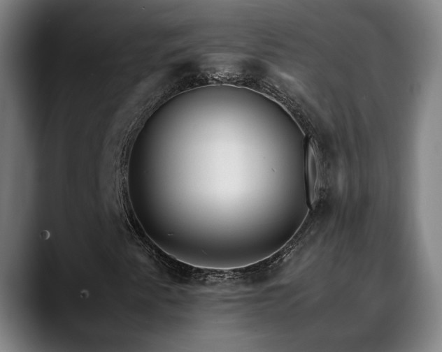 X0000090471345200707131250