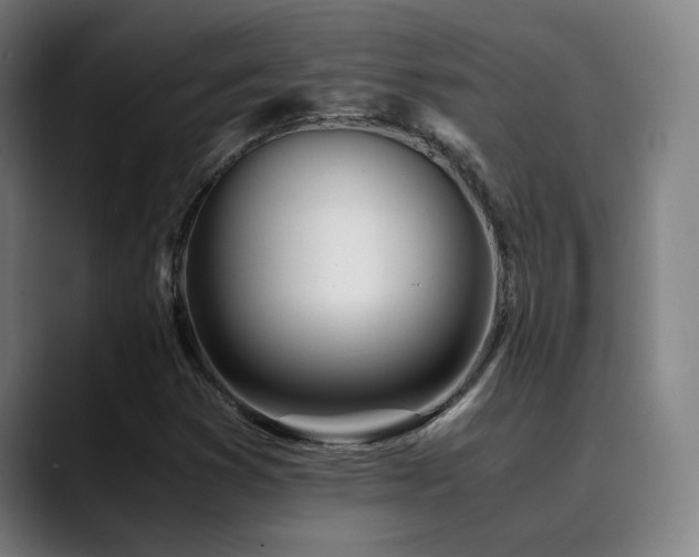 X0000090471353200707131250