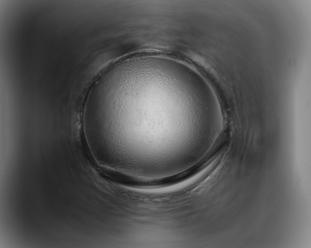X0000090471355200707131250