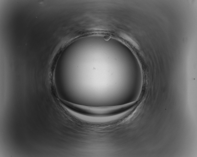 X0000090471357200707131250