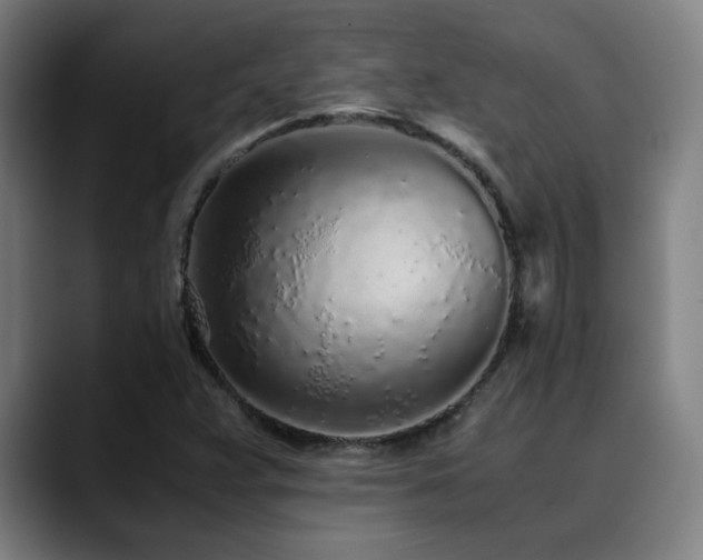 X0000090471359200707131250
