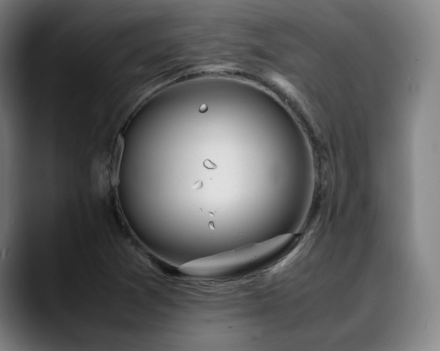 X0000090471361200707131250