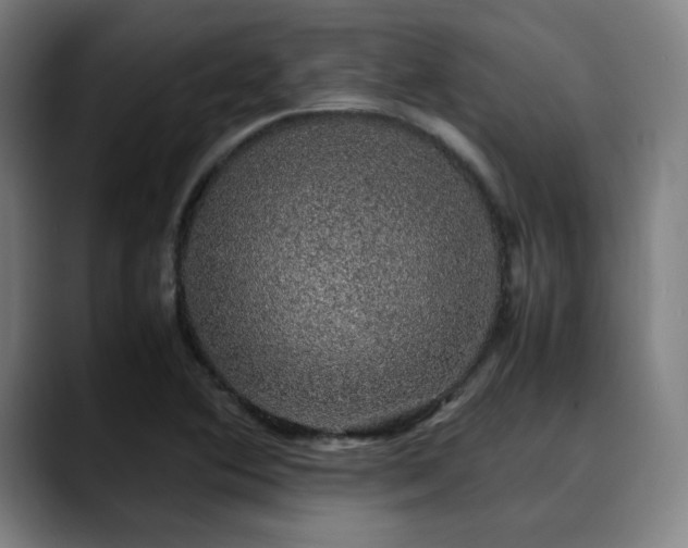X0000090471364200707131250