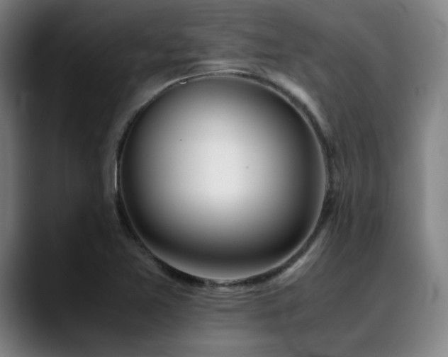 X0000090471365200707131250