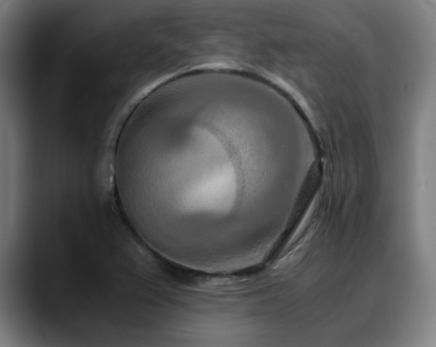 X0000090471367200707131250