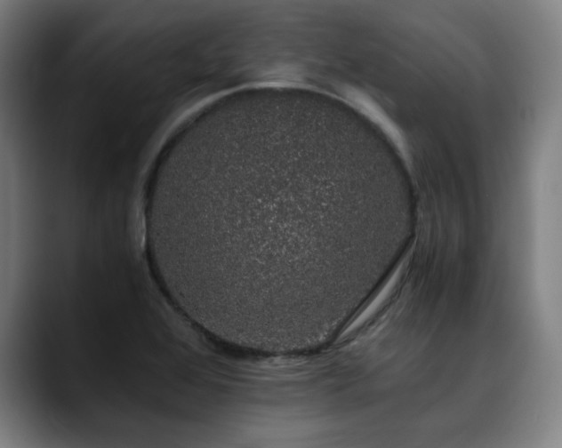 X0000090471368200707131250