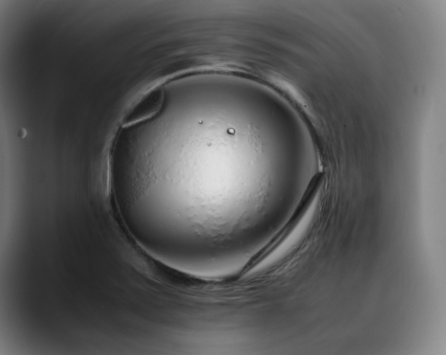 X0000090471371200707131250
