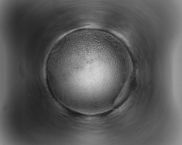 X0000090471375200707131250