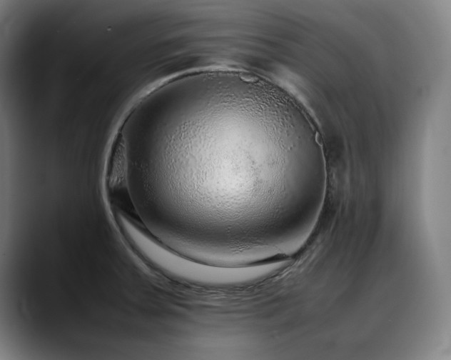 X0000090471379200707131250