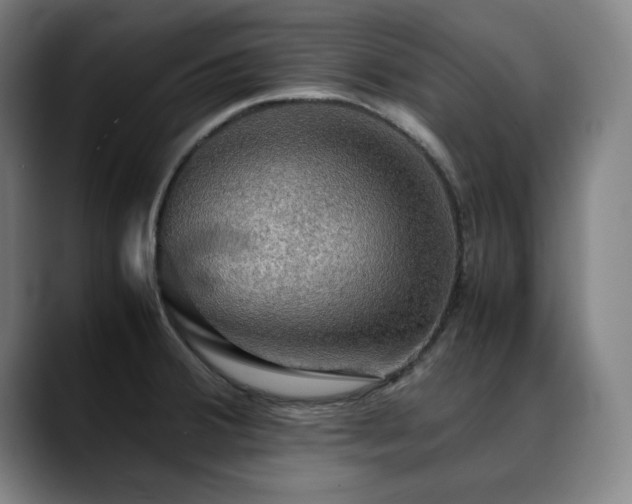 X0000090471380200707131250