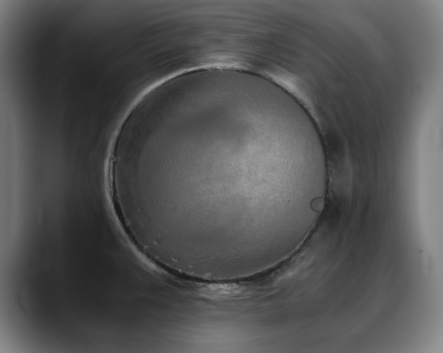 X0000090471383200707131250