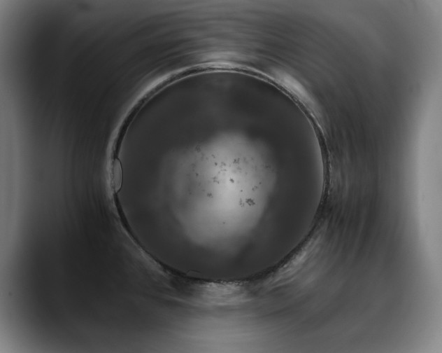 X0000090471384200707131250