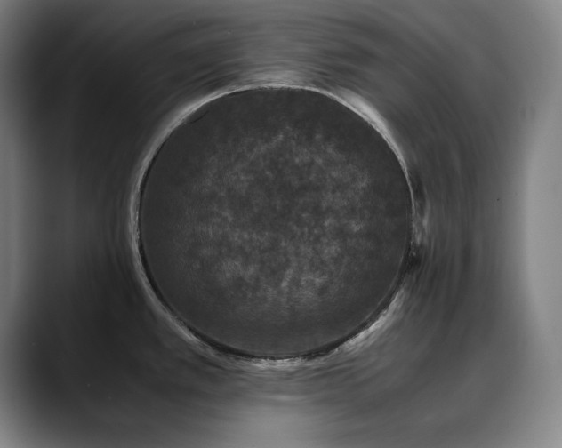 X0000090471389200707131250