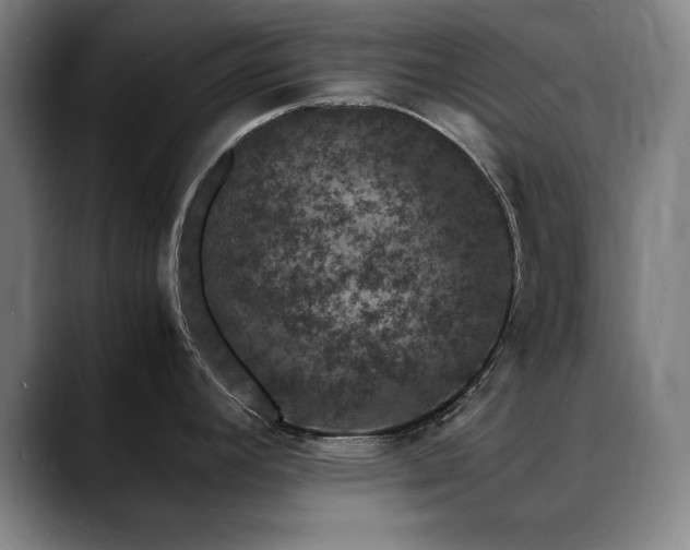 X0000090471392200707131250