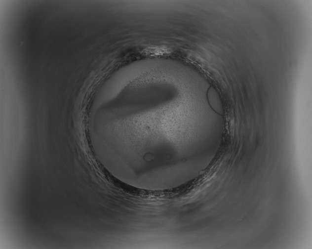 X0000090471393200707131249