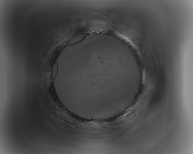 X0000090471399200707131249