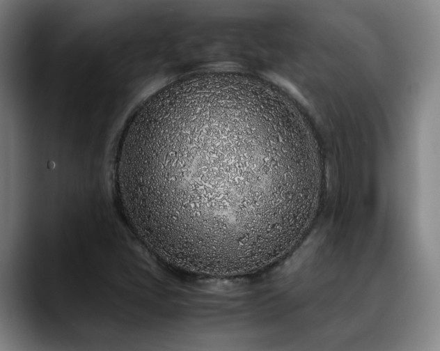 X0000090471405200707131249