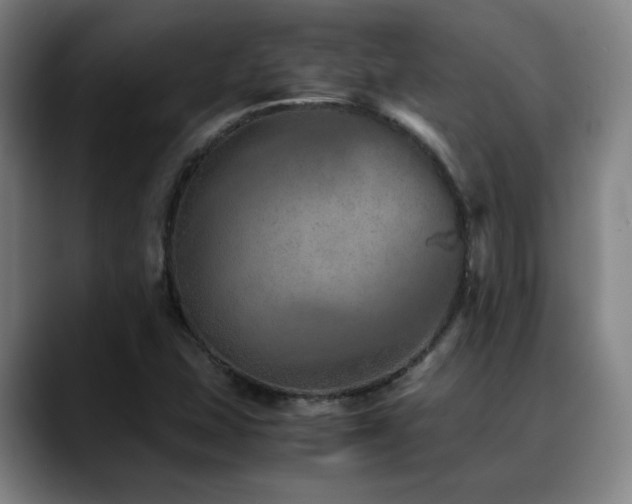 X0000090471407200707131249