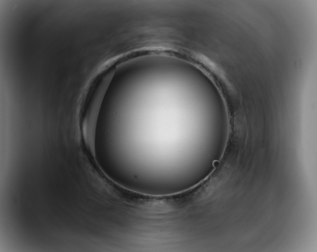 X0000090471408200707131249
