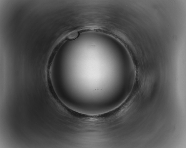 X0000090471412200707131249
