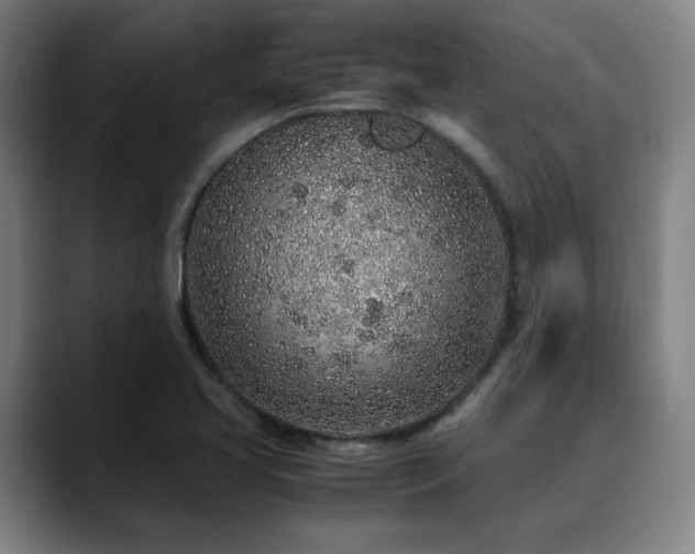 X0000090471413200707131249