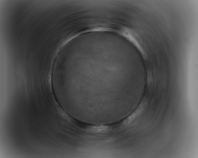 X0000090471417200707131249