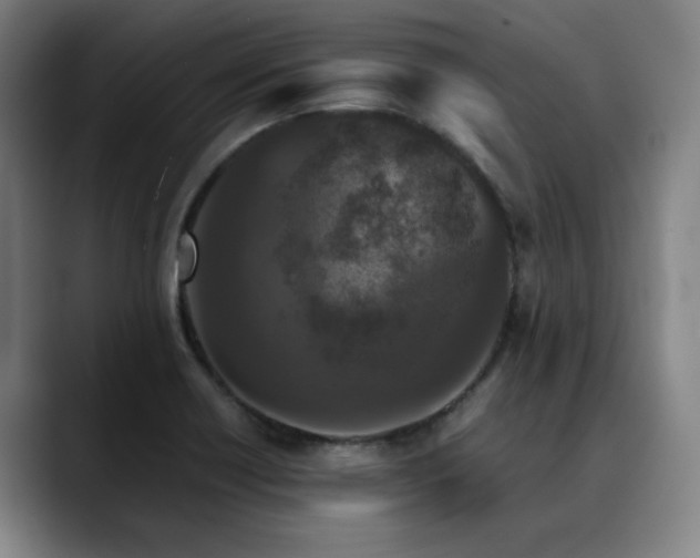 X0000090471418200707131249