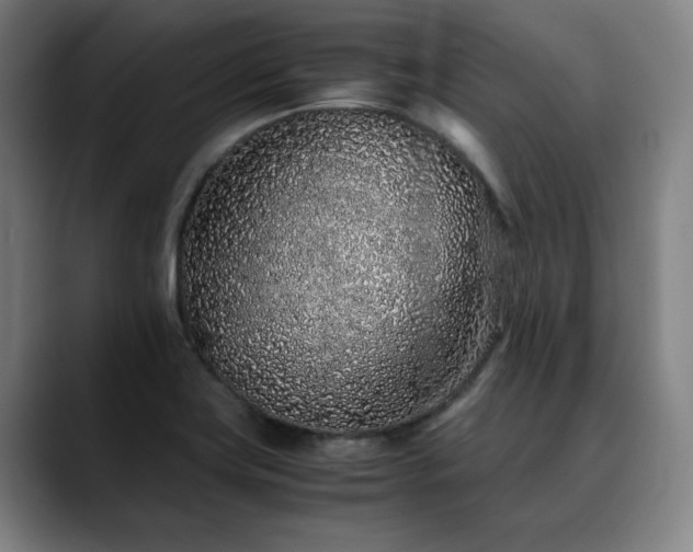 X0000090471419200707131249