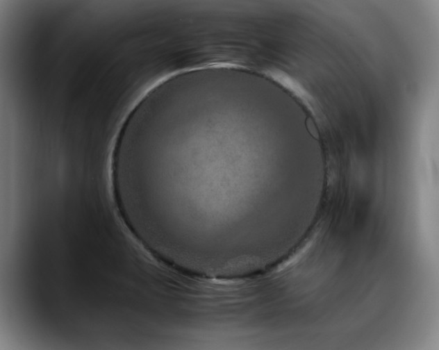 X0000090471423200707131249