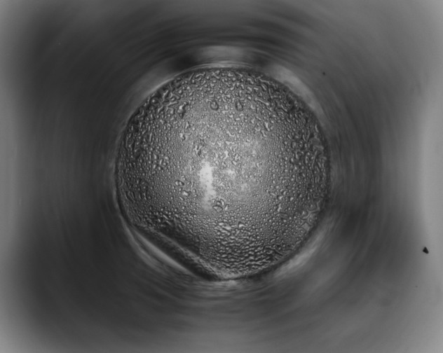 X0000090471425200707131250