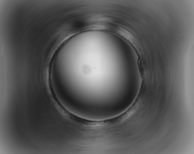 X0000090471426200707131250