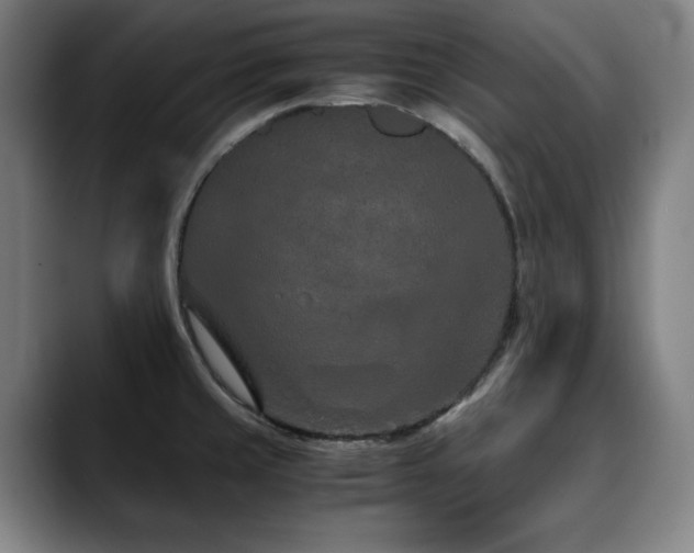 X0000090471429200707131250