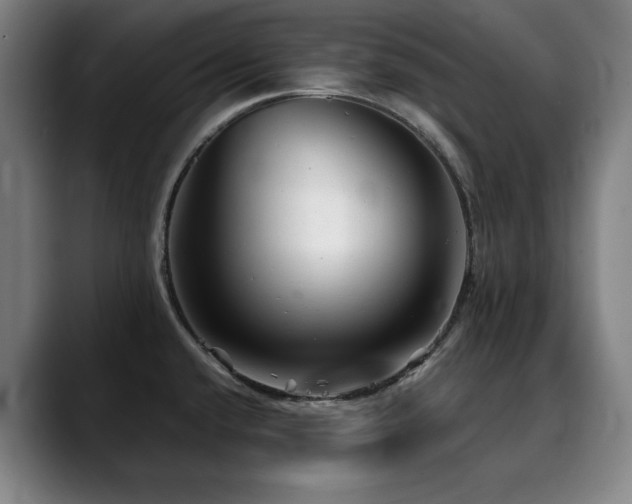X0000090471432200707131250