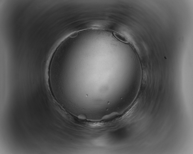 X0000090471435200707131250